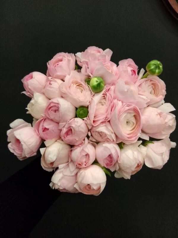 Buchet ranunculus roz 25