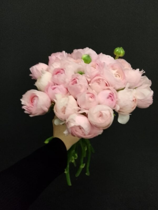 Buchet ranunculus roz 25 - imagine 3