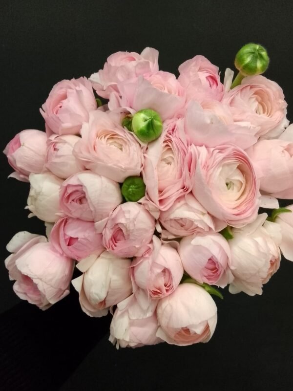 Buchet ranunculus roz 25 - imagine 2