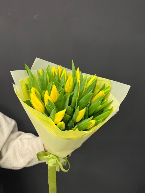 35 yellow tulips - Image 2
