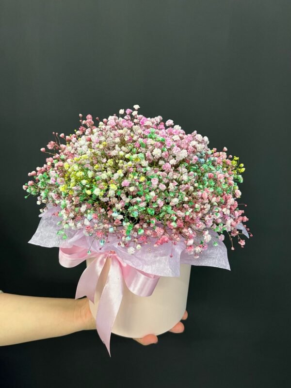 Gypsofila in cutie - imagine 3