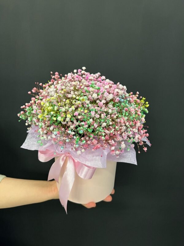 Gypsofila in cutie - imagine 4