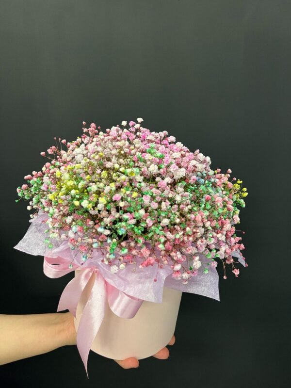 Gypsofila in cutie - imagine 2