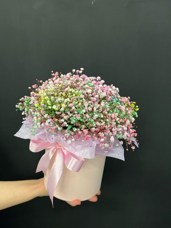 Gypsofila in cutie