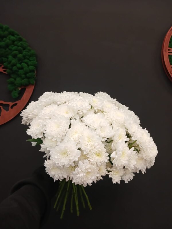 Buchet din 11 crizanteme albe